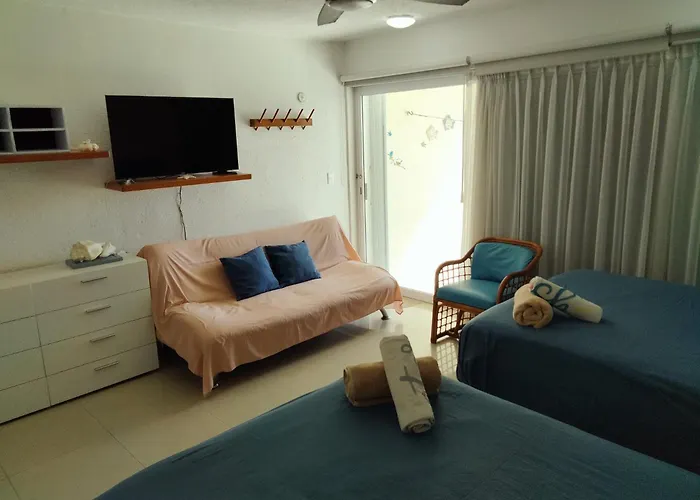 Deluxe One-Bedroom Apartment
